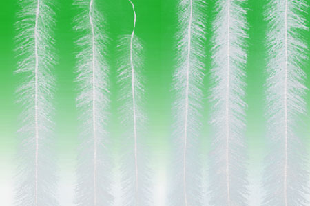 ���w��������